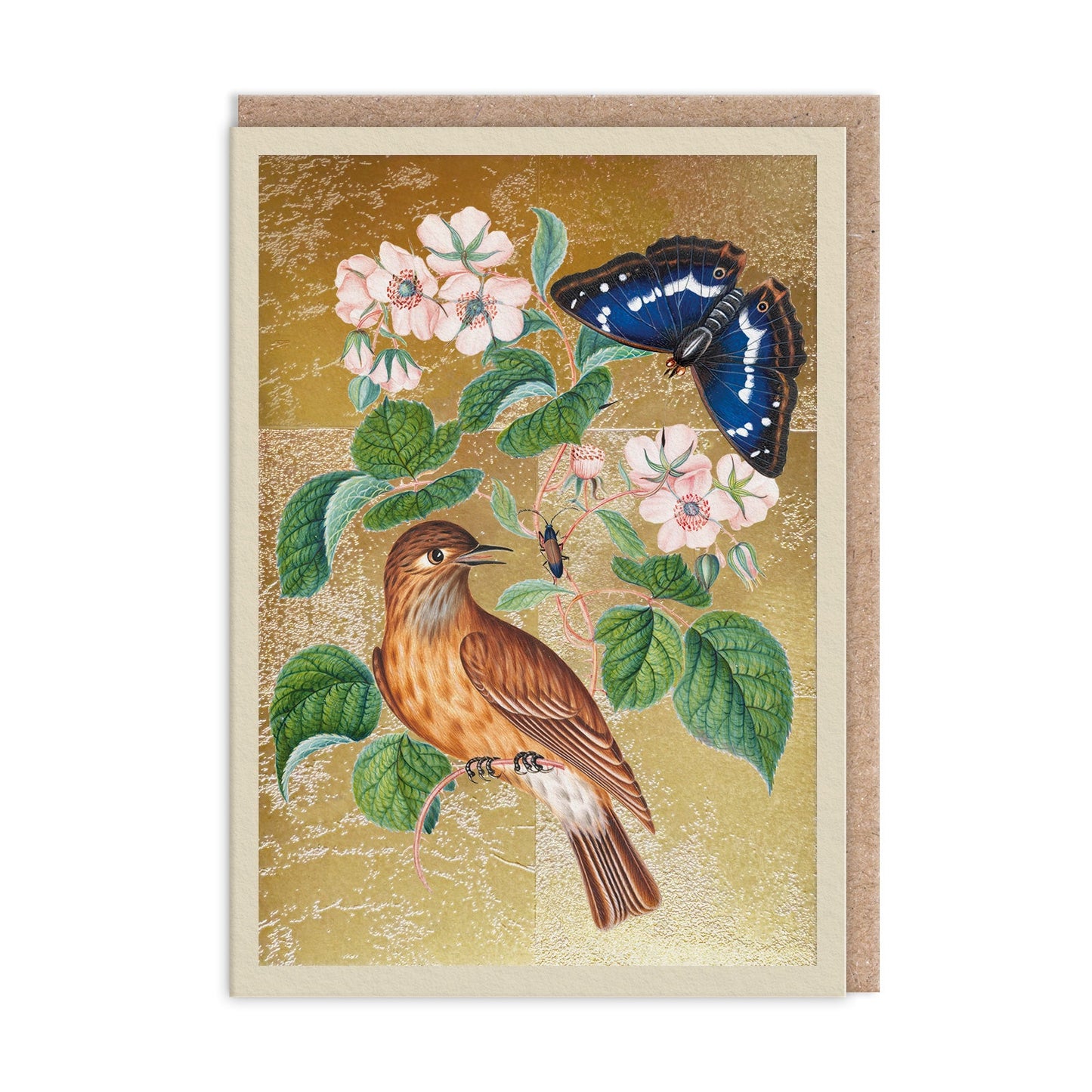 Wren Greeting Card