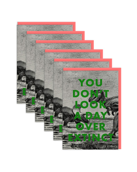 ODGC7319 6 Pack Image