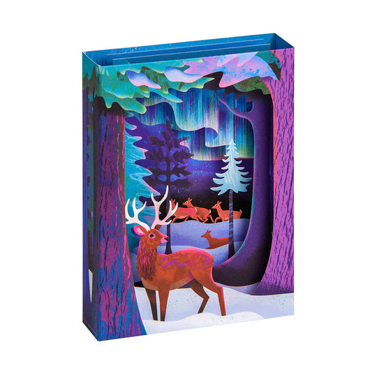 Northern Lights Greeting Card (3D)