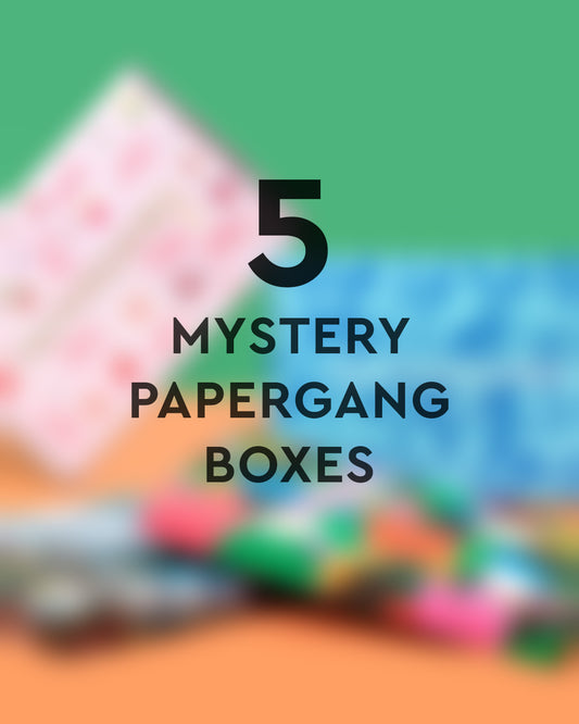 5 Mystery Papergang Boxes