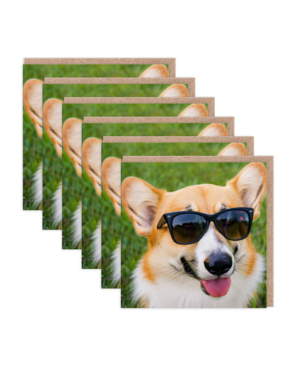 SAYSQ10505 6 Pack Image