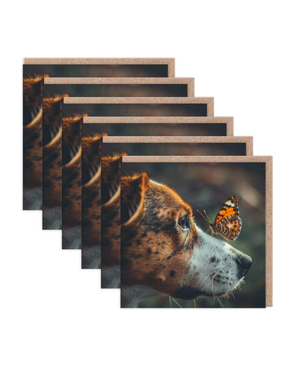 SAYSQ11675 6 Pack Image