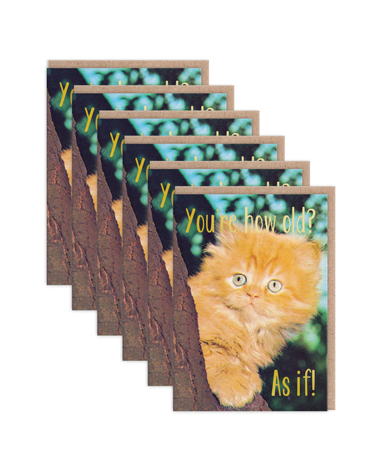 SKGC7347 6 Pack Image