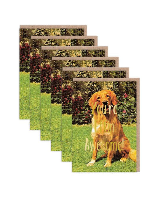 SKGC9207 6 Pack Image