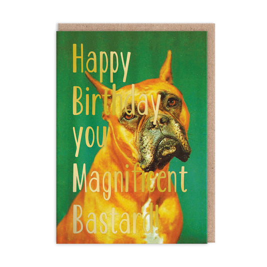 Birthday card featuring a boxer dog. Gold Foil text reads "Happy Birthday You Magnificent Bastard"