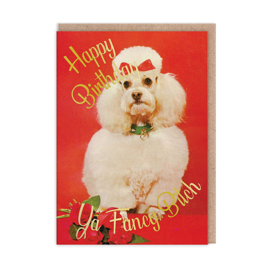 Birthday card with image of a pampered dog. Gold foil text reads "Happy Birthday, Ya Fancy Bitch"