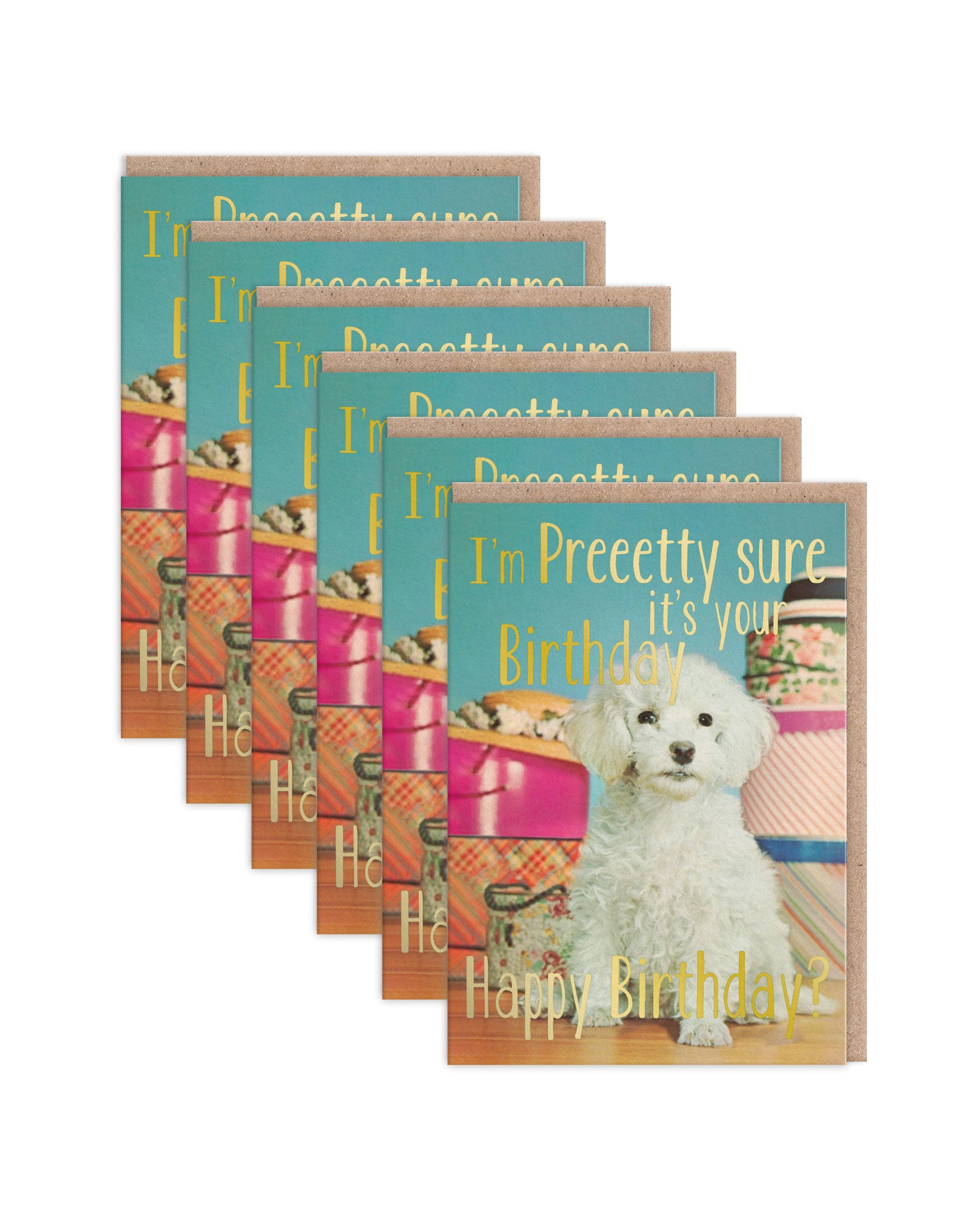 SKGC9212 6 Pack Image