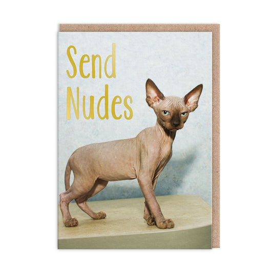 Greeting card with an image of a Sphynx Cat. Gold foil text reads "Send Nudes"