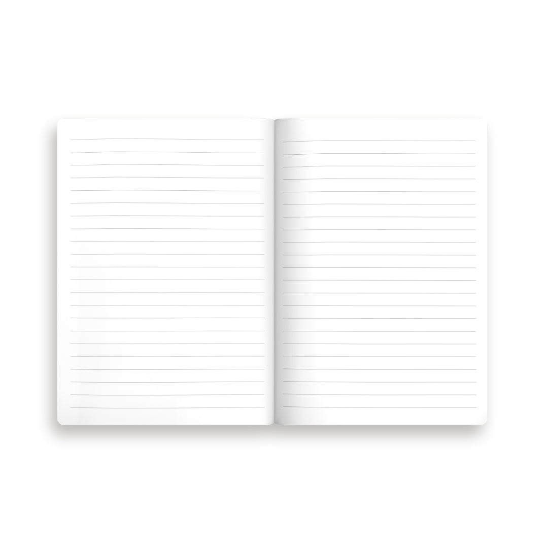 Blue Stripe Floral 3x Stitched Notebook Set (B6)