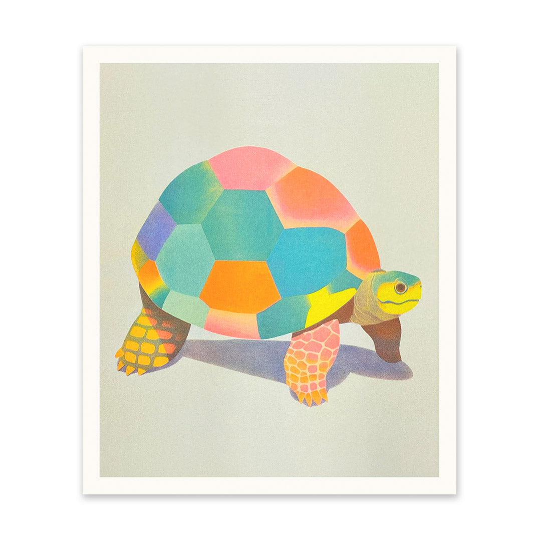 Patchwork Tortoise Art Print