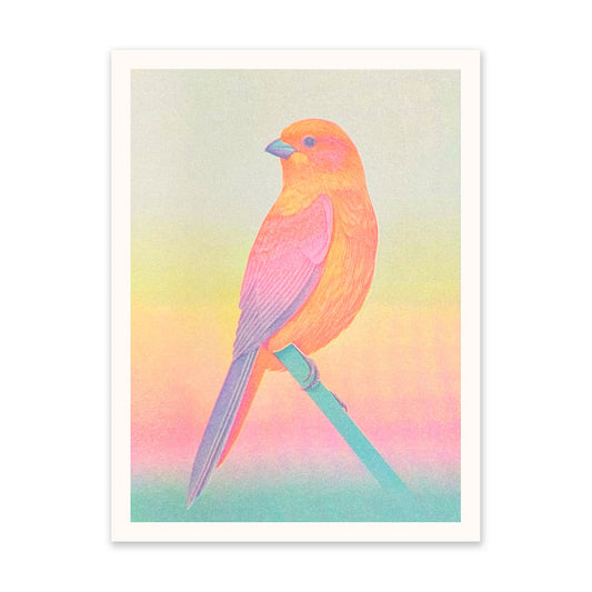 Neon Ombre Bird Art Print