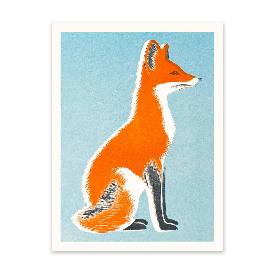 Fox 2 Art Print