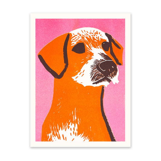 Mid Century Border Terrier Art Print
