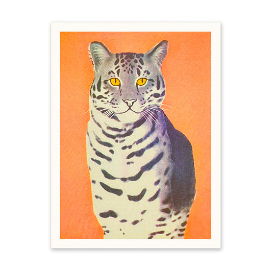 Wild Cat Art Print