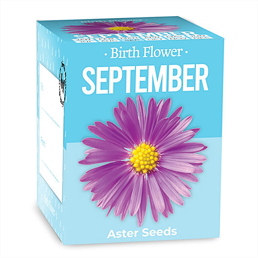 Birth Flower - September