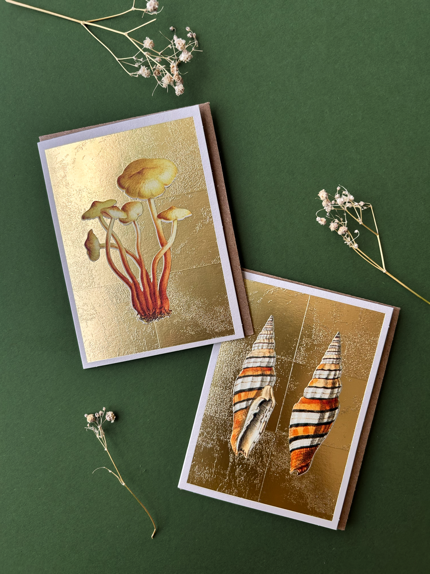 Shells Mini Greeting Card