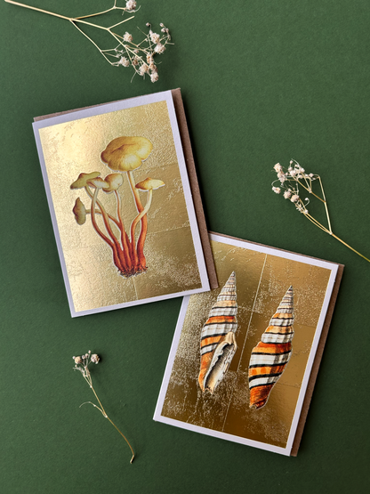 Shells Mini Greeting Card
