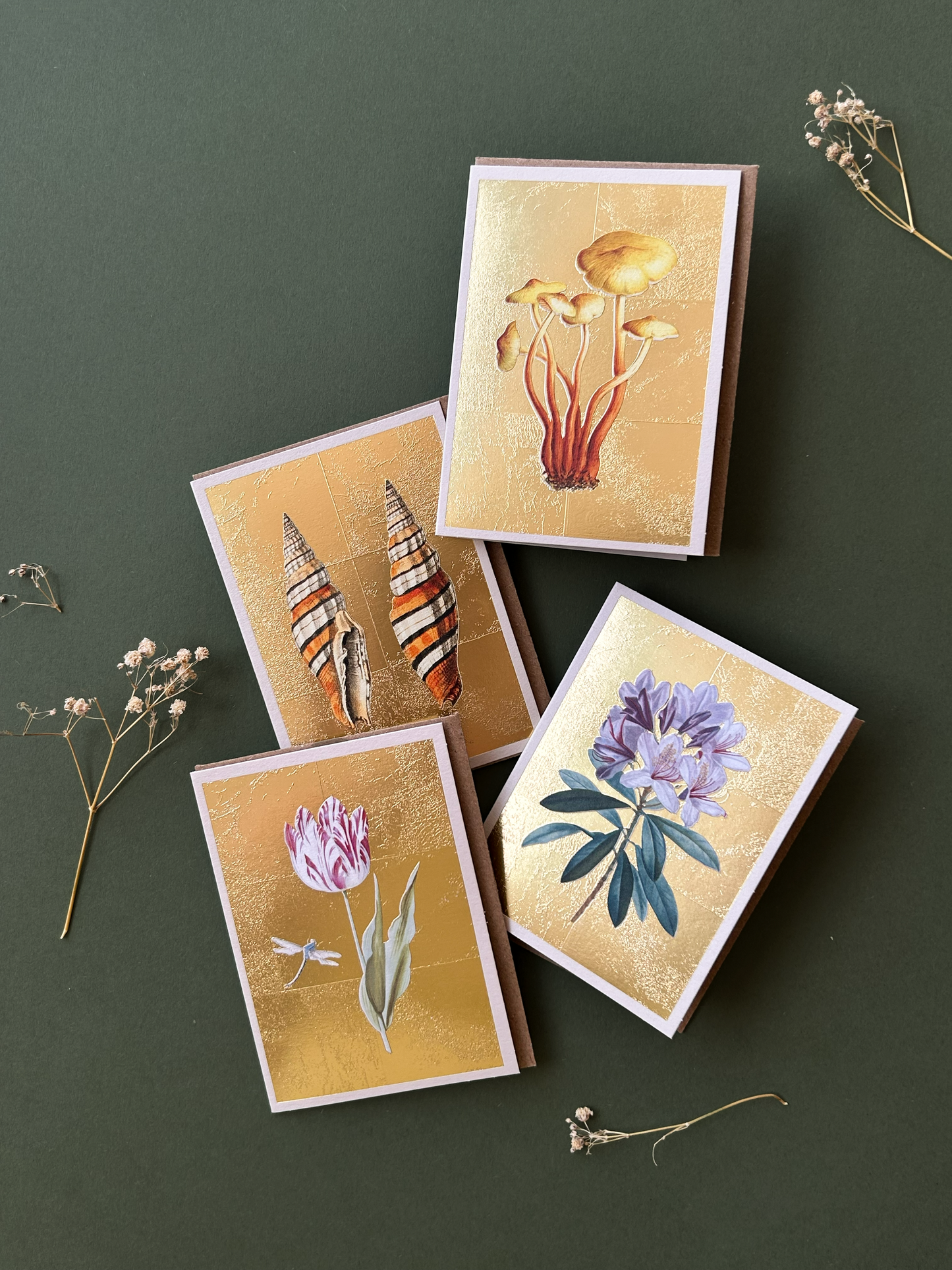 Shells Mini Greeting Card