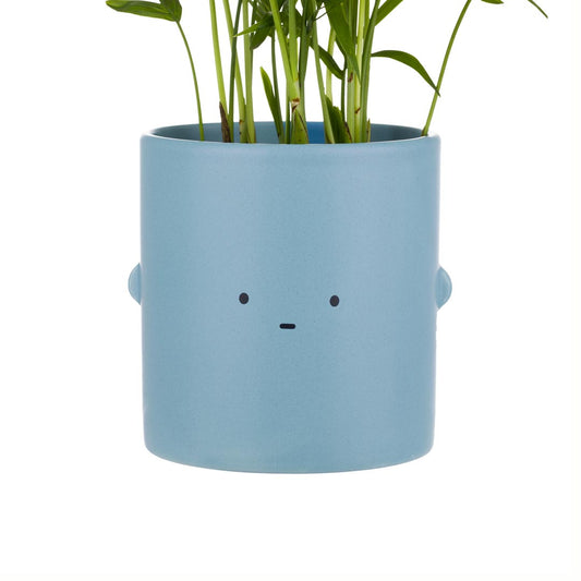 Blue Straight Face Toki Plant Pot