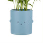 Mini Blue Straight Face Toki Plant Pot