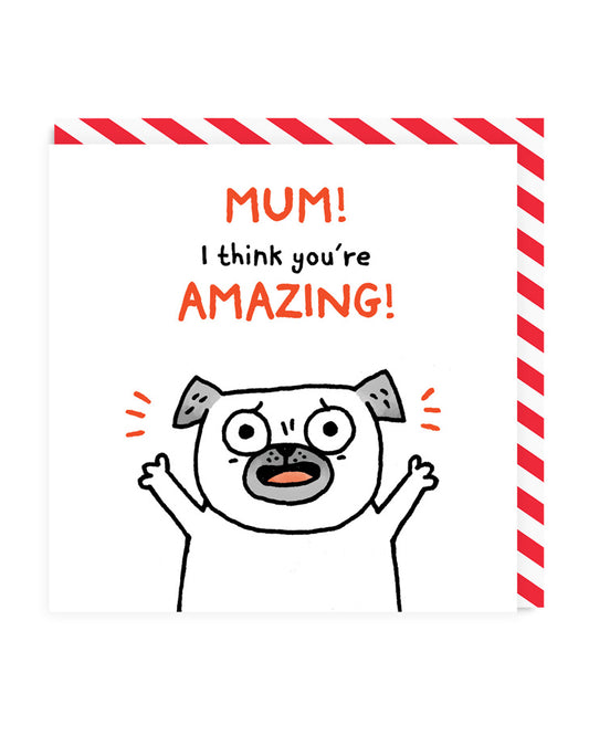 Mum I Think You're Amazing! Greeting Card