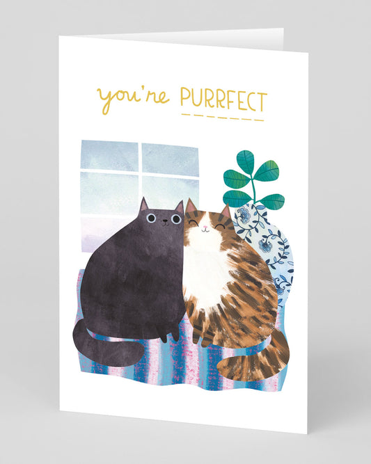 Personalised Anniversary Cats Card