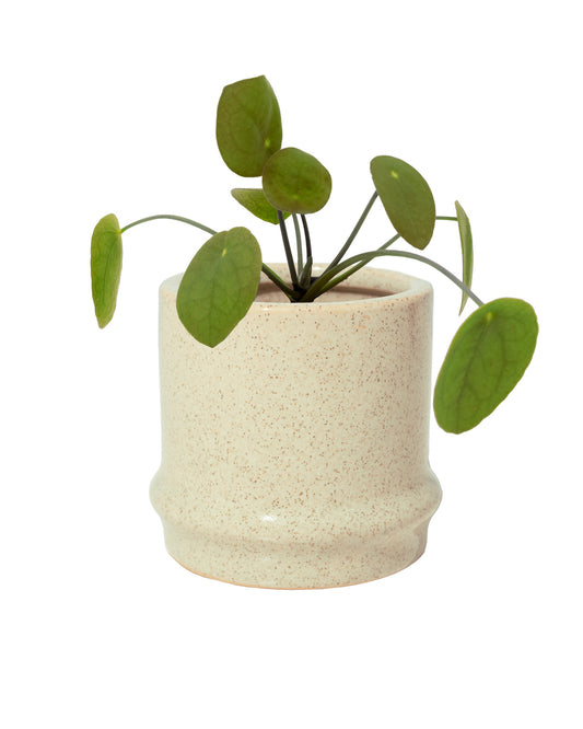 White Bamboo Shaped Mini Plant Pot
