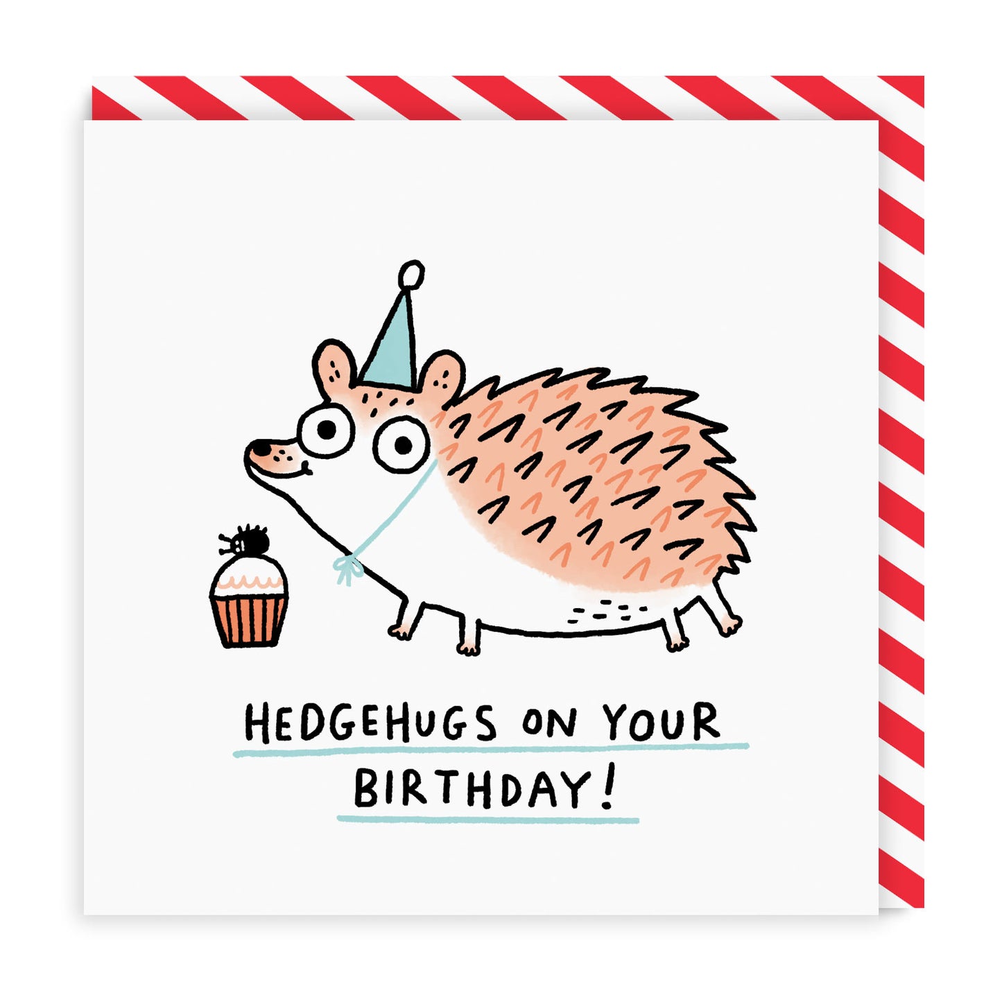 Hedgehugs On Your Birthday Square Greeting Card