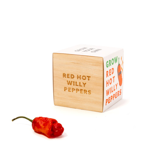 Grow Your Own Red Hot Willy Peppers