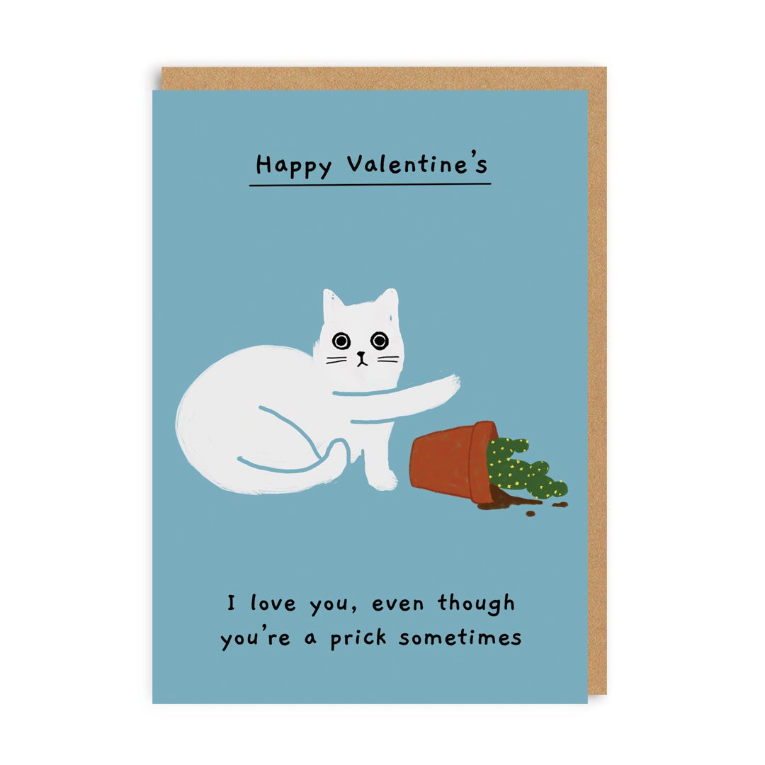 I Love You Even Though You're A Prick Sometimes Valentine's Card
