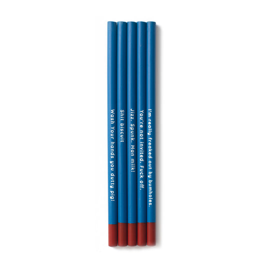 5 Sex Education pencils in blue with phrases from the show