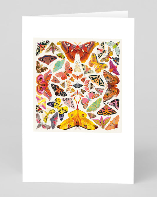Butterfly Kaleidoscope Greeting Card