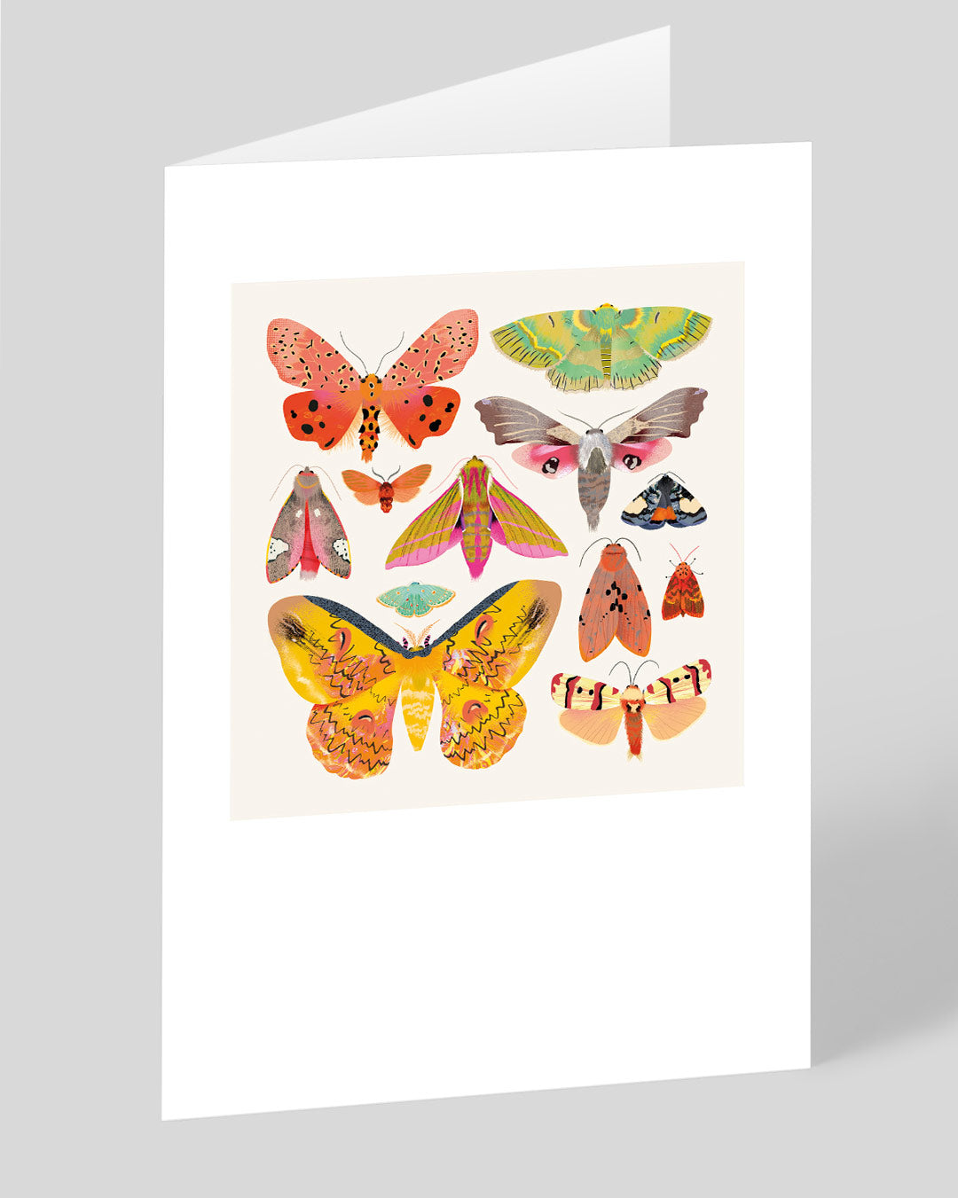 Moths and Butterflies Greeting Card