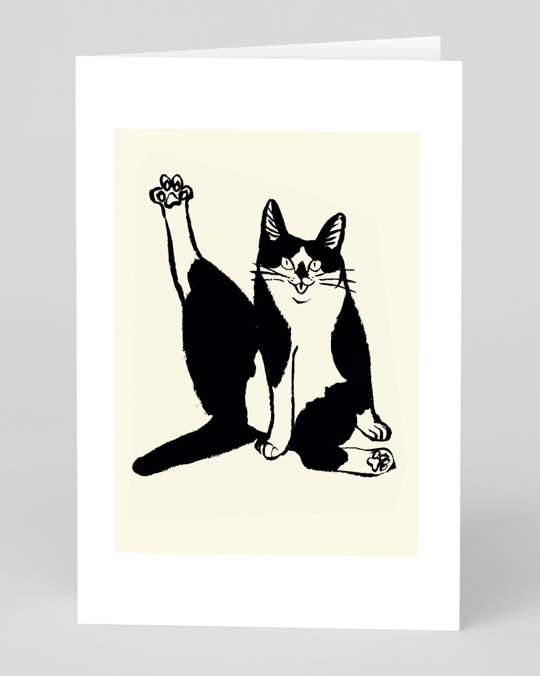 Cat Pose Greeting Card