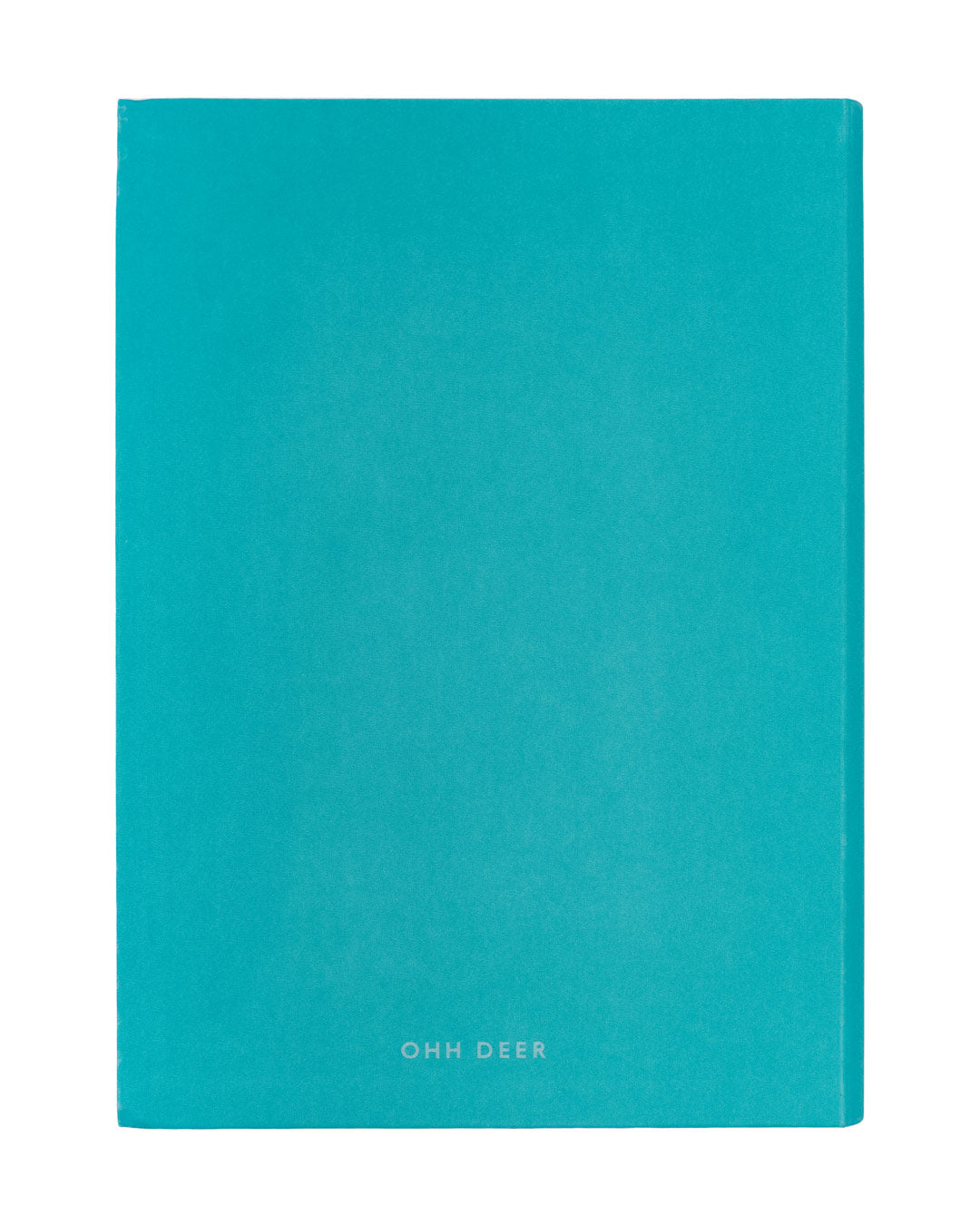 Sea Teal Daily Planner