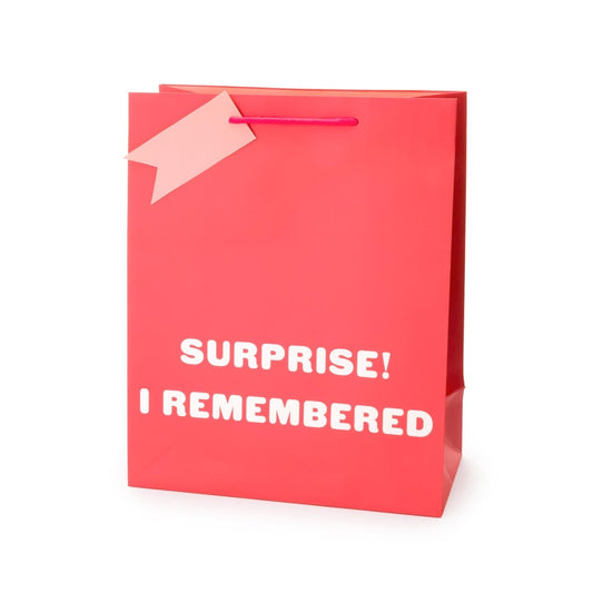 Surprise I Remembered Large Gift Bag