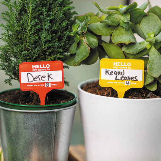 Close up image of plant name badges