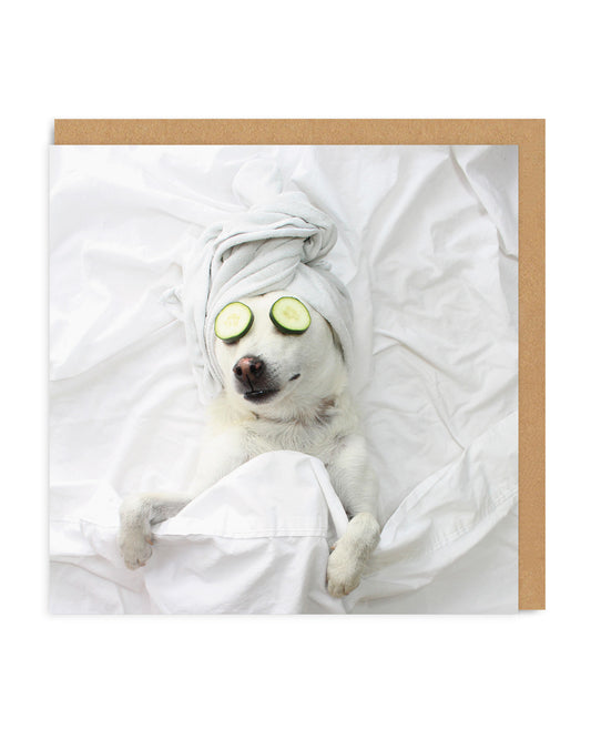 Pampered Pooch Greeting Card