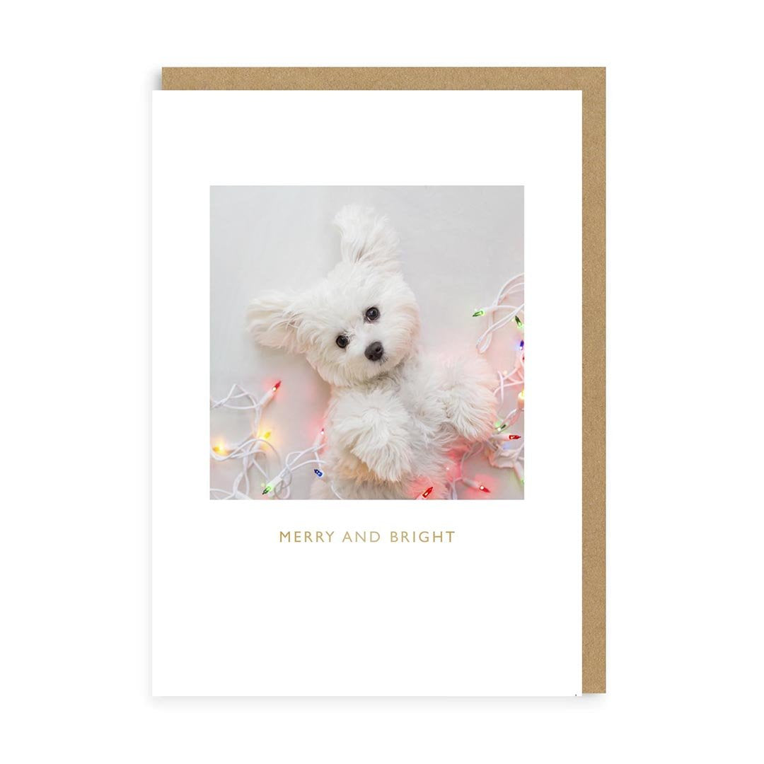 Merry & Bright Puppy Christmas Card