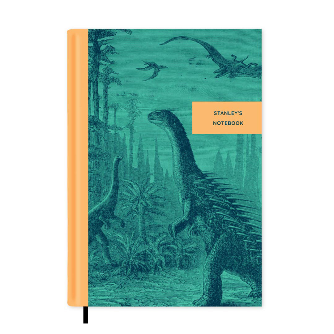 Vintage Illustrations Dinosaurs Personalised Notebook A5