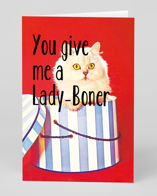 Personalised You Give Me a Lady Boner Greeting Card