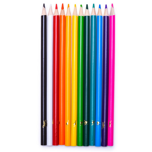 Set of 12 Colouring Pencils and Bag