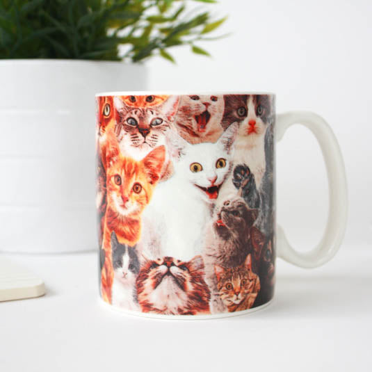 Crazy Cat Lady Mug with images of various cats