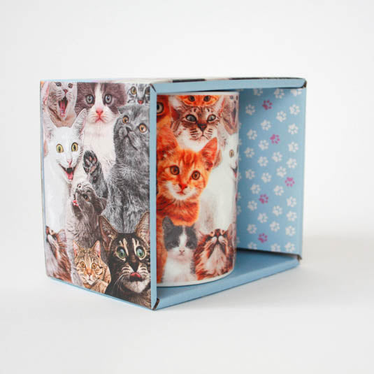 Crazy Cat Lady mug in box