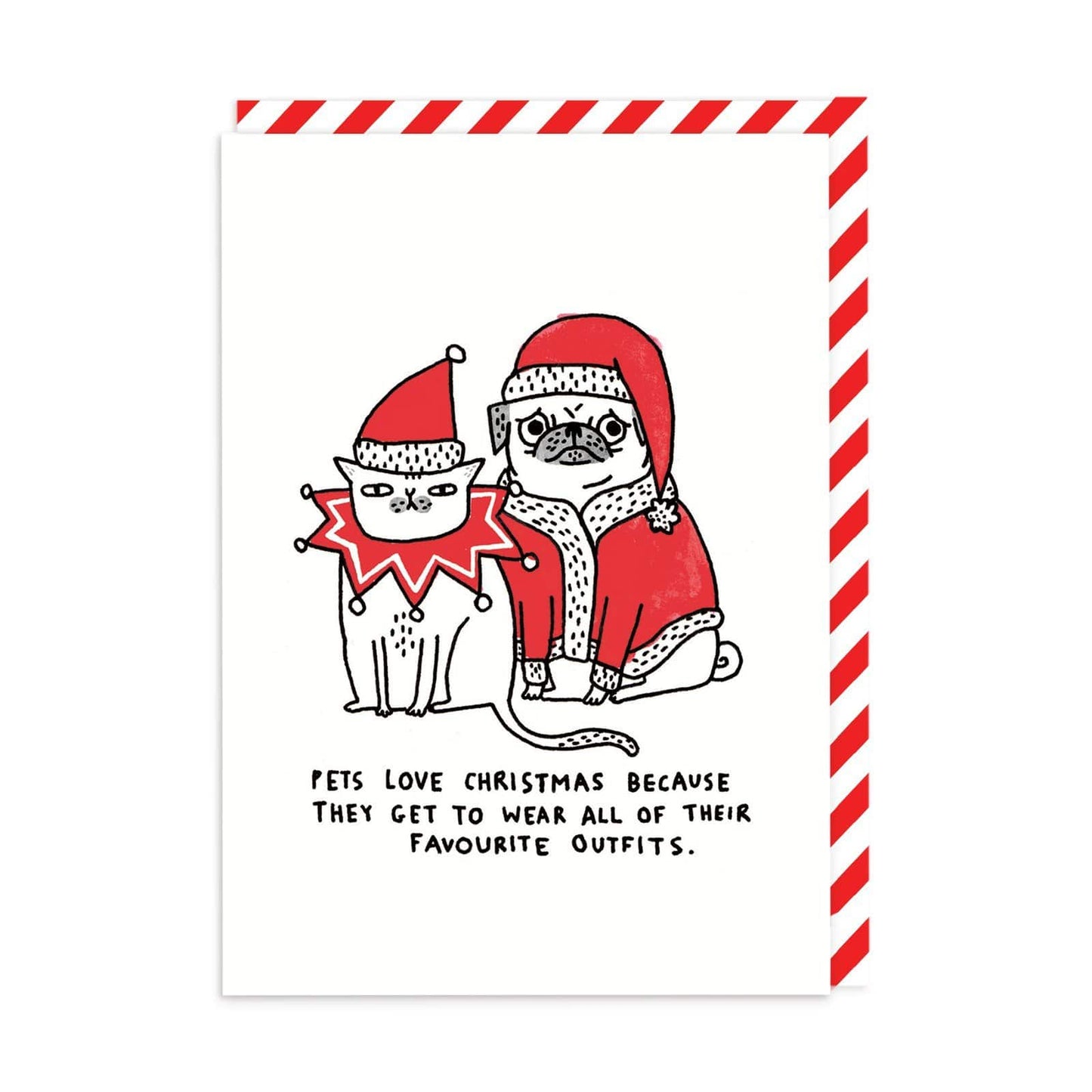 Pets Love Christmas Greeting Card