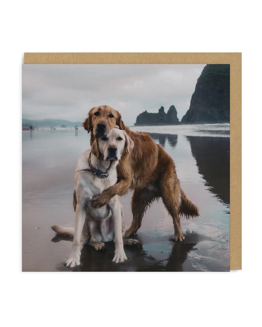 Beach Dogs Hug Greeting Card