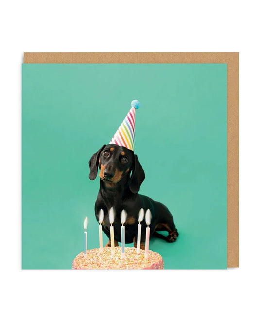 Scout Party Hat Square Birthday Greeting Card