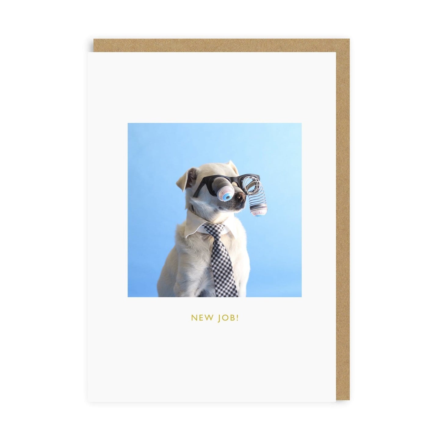New Job Dog Greeting Card