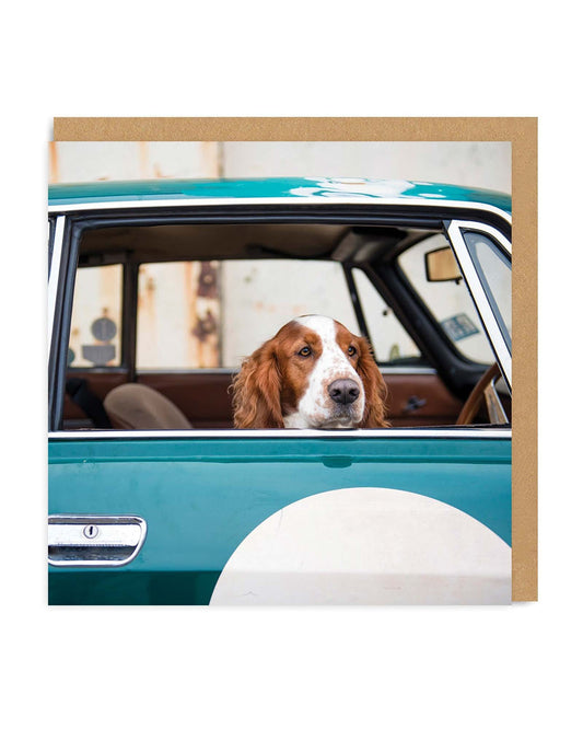 Dog In Car Square Greeting Card