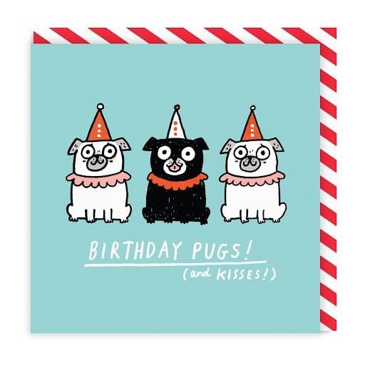 Birthday Pugs Square Greeting Card
